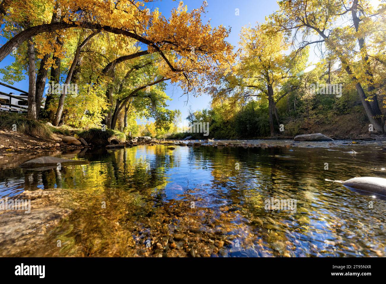 Riflessi di colori autunnali su Clear Creek in autunno - Golden, Colorado, USA Foto Stock