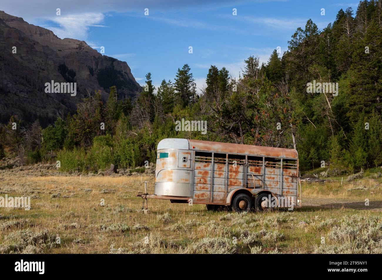Un rimorchio per cavalli arrugginito si trova in un campo presso il Double D Ranch vicino alla città fantasma mineraria di Kirwin. Il Double D Ranch si trova nella Shoshone National Forest Foto Stock