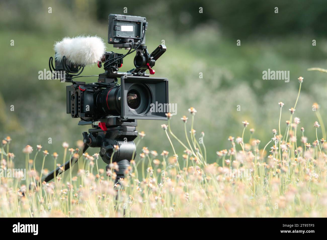 una videocamera o documentari dotati di monitor per cinematografi. Foto Stock