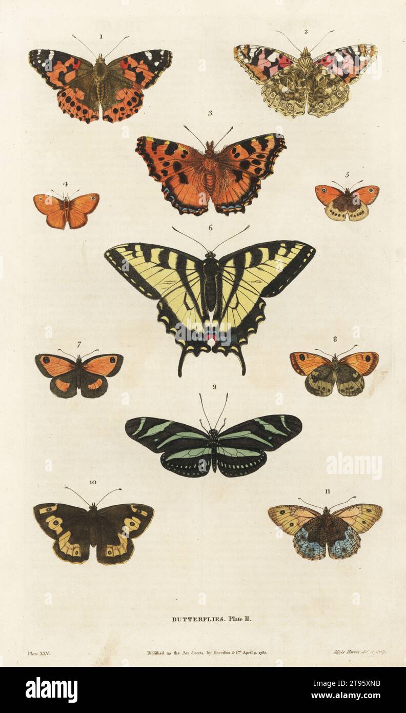 Signora dipinta, Vanessa cardui 1,2, grande guscio di tartaruga, Nymphalis polychloros 3, guardiano, Pyronia tithonus 4,5, Tiger swallowtail tail, Papilio glaucus 6, grayling, Hipparchia semele 7,8, zebra longwing, Heliconius charithonia 9, piccola brughiera, Coenonympha pamphilus 10,11. Incisione su copperplate a mano di Moses Harris da A New Dictionary of Natural History di William Frederic Martyn, Harrison, Londra, 1785. Pseudonimo di William Fordyce Mavor, prete scozzese, insegnante e scrittore, 1758-1837. Foto Stock