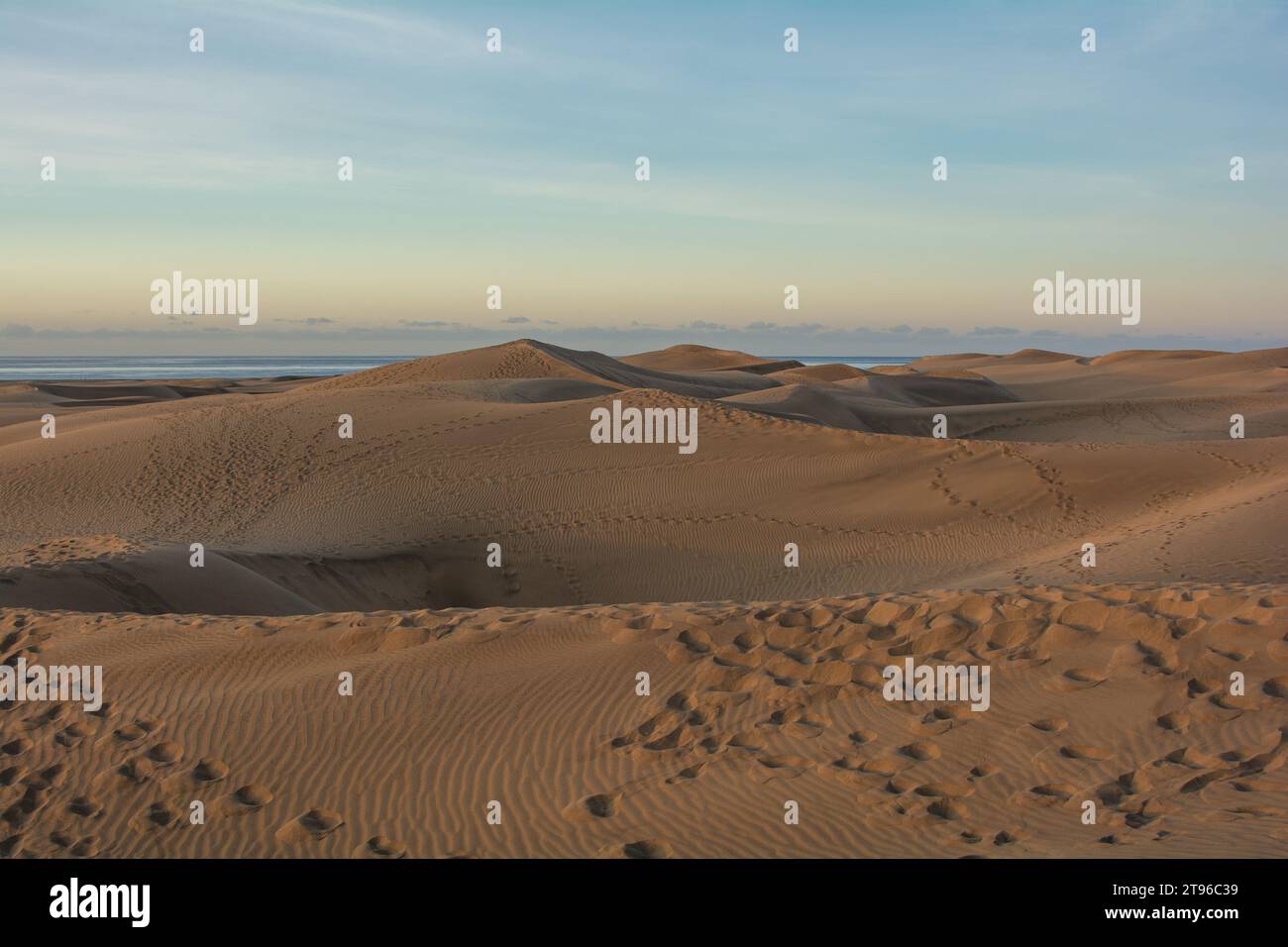 Nelle dune di Maspalomas su Gran Canaria in Spagna. Le enormi dune di sabbia assomigliano a un piccolo deserto e sono una riserva naturale. Foto Stock