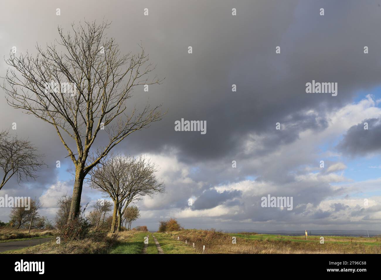 Nuvole scure che si spostano su un tracciato prato in un paesaggio autunnale, scatto grandangolare, spazio di copia Foto Stock