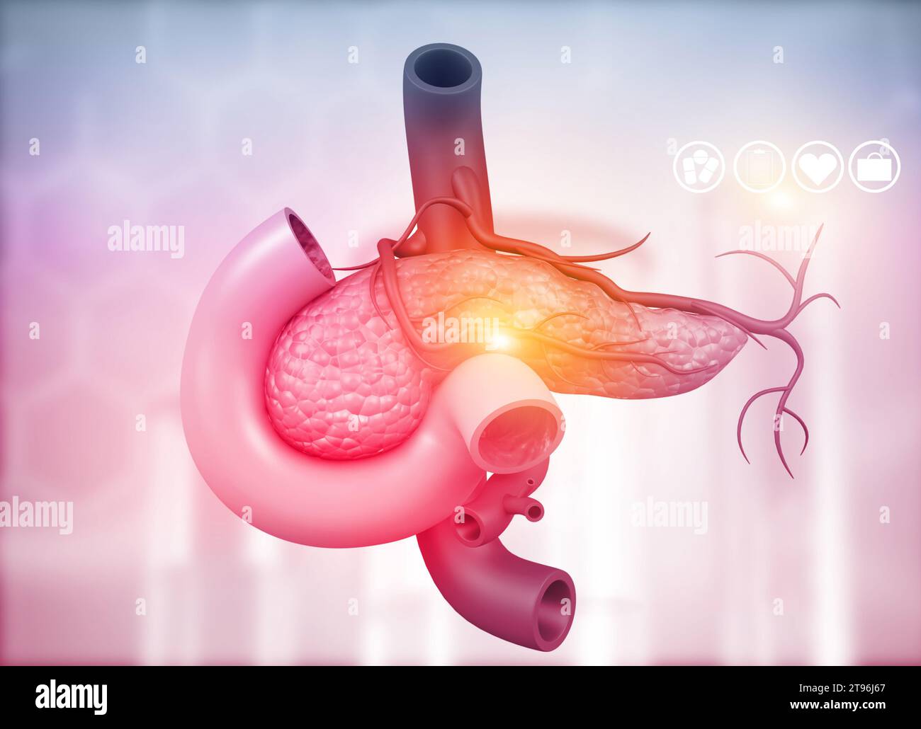 Anatomia del pancreas. illustrazione 3d. Foto Stock