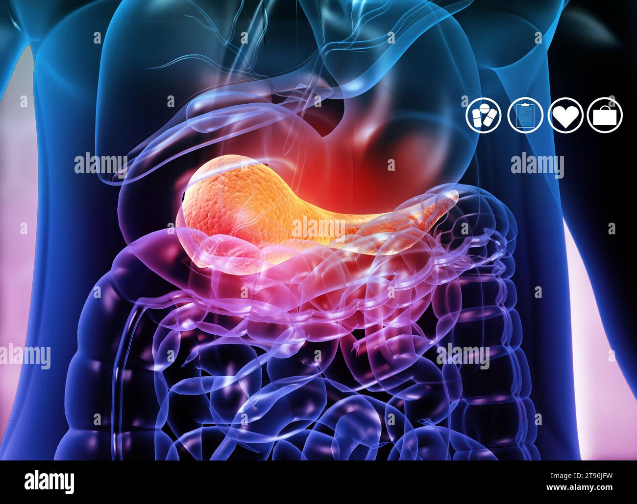 Corpo umano con sistema digestivo su sfondo medico. illustrazione 3d. Foto Stock