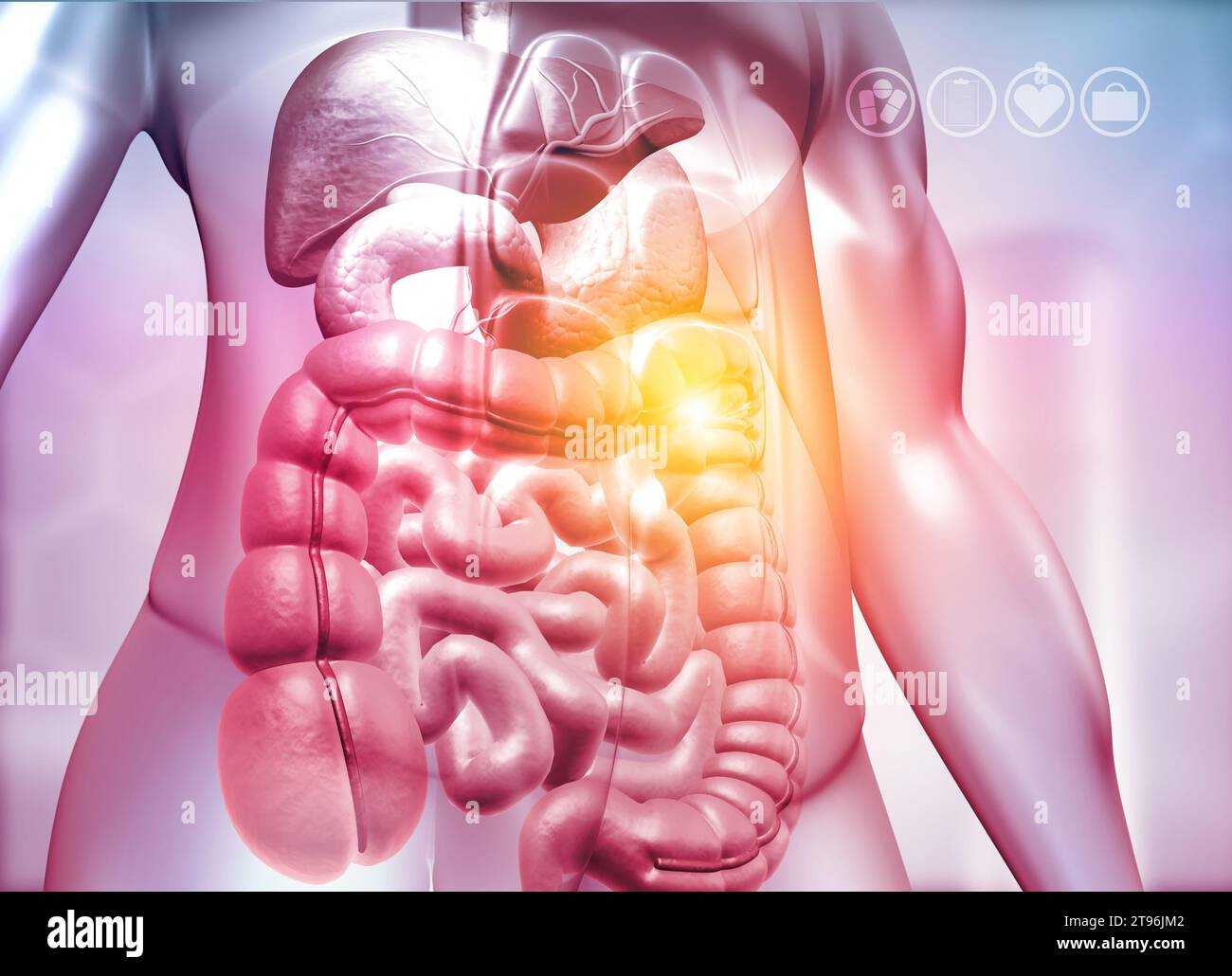 Corpo umano con sistema digestivo su sfondo medico. illustrazione 3d. Foto Stock