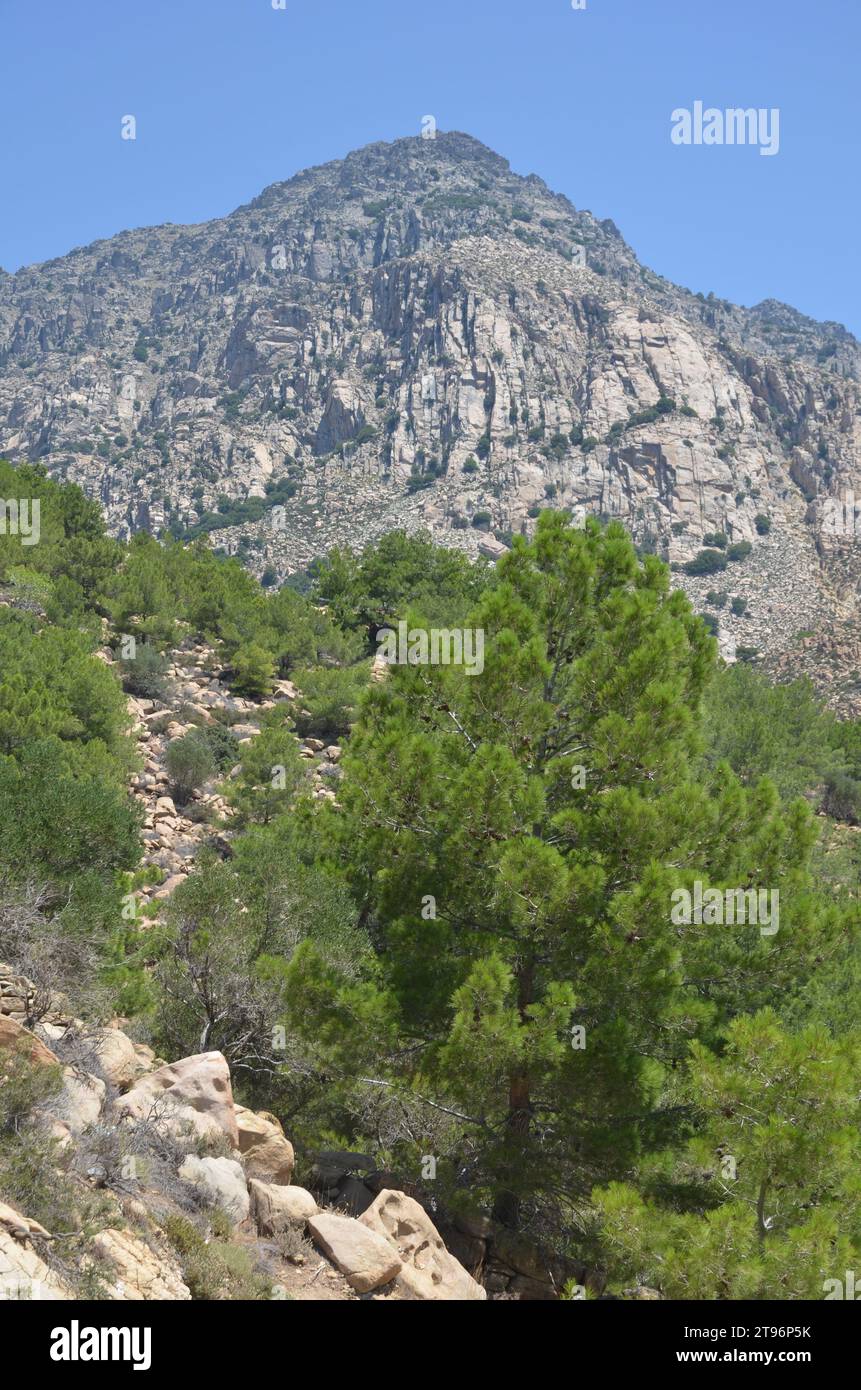 Grecia, Egeo settentrionale, Ikaria Island Villages Karkinagri e Trapalou Foto Stock