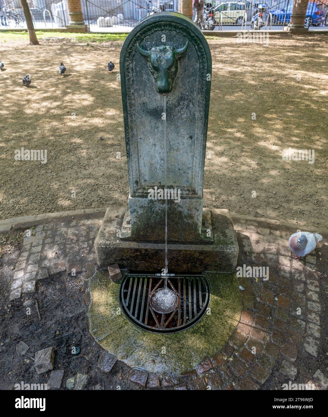 TORINO, ITALIA, 11 APRILE 2023 - Una tipica fontana con il toro, simbolo della città di Torino, Italia Foto Stock
