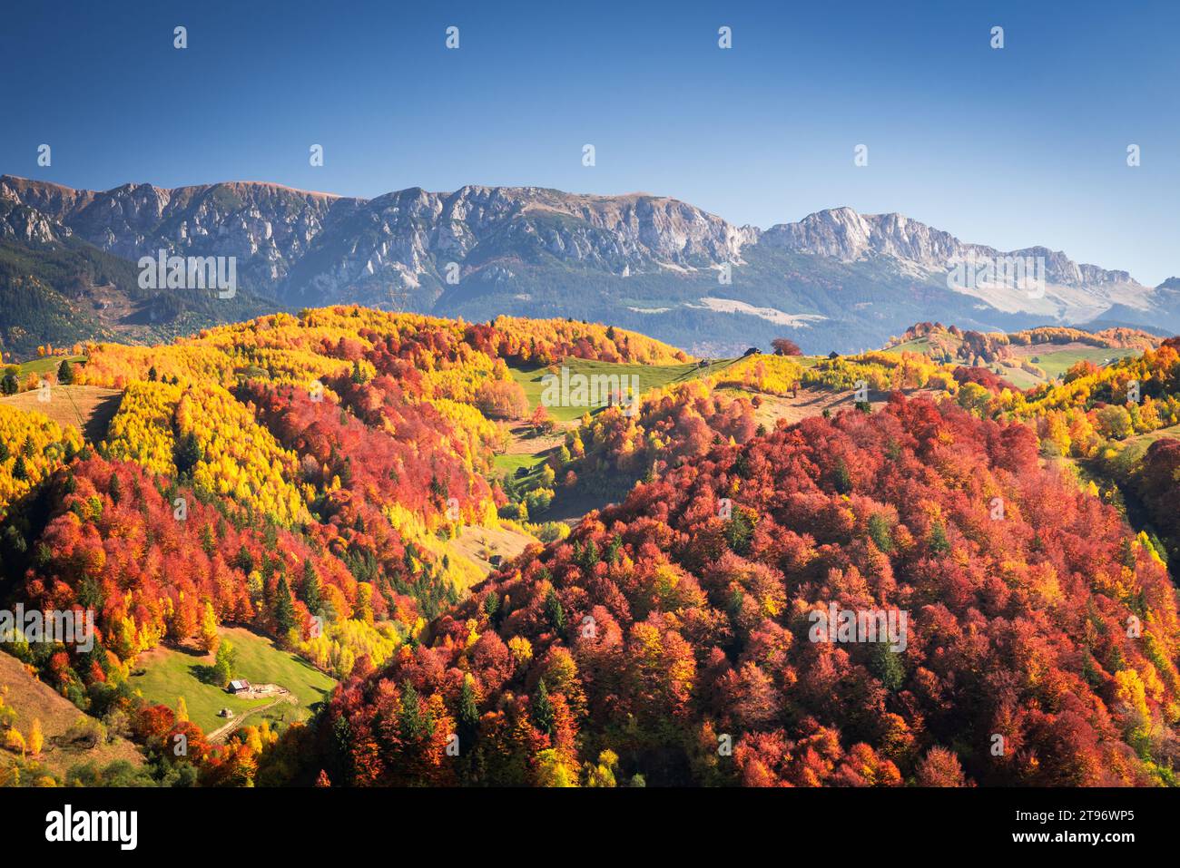 Carpazi, Romania. Splendidi colori autunnali paesaggio panoramico a Rucar-Bran, punto di riferimento turistico rumeno di Bucegi. Foto Stock