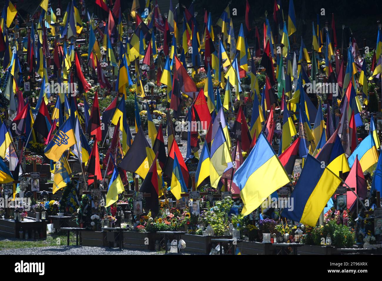 Leopoli, Ucraina - 29 agosto 2023: Cimitero militare di soldati ucraini uccisi durante il combattimento con le truppe russe. Foto Stock