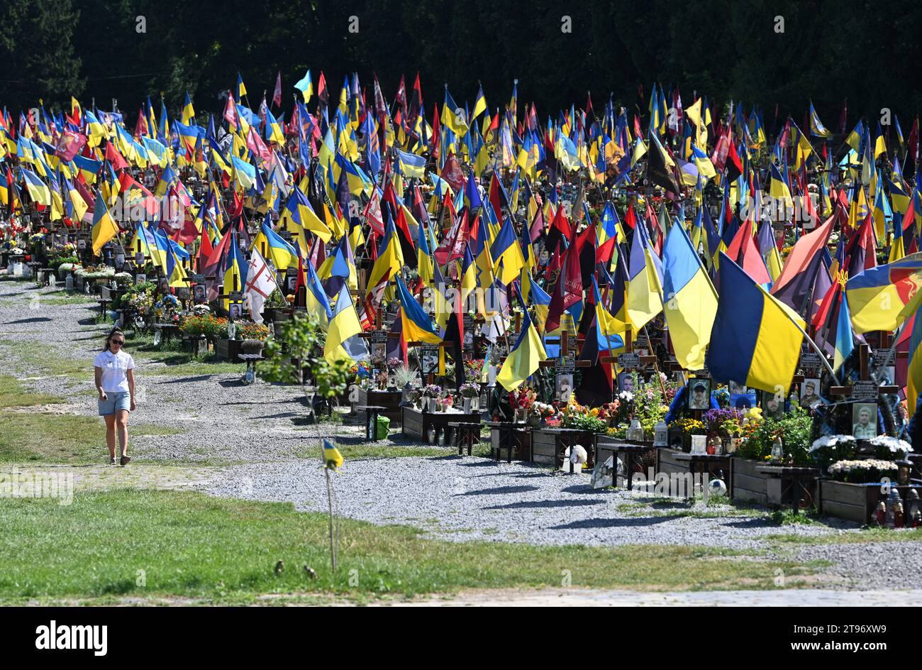 Leopoli, Ucraina - 29 agosto 2023: Cimitero militare di soldati ucraini uccisi durante il combattimento con le truppe russe. Foto Stock