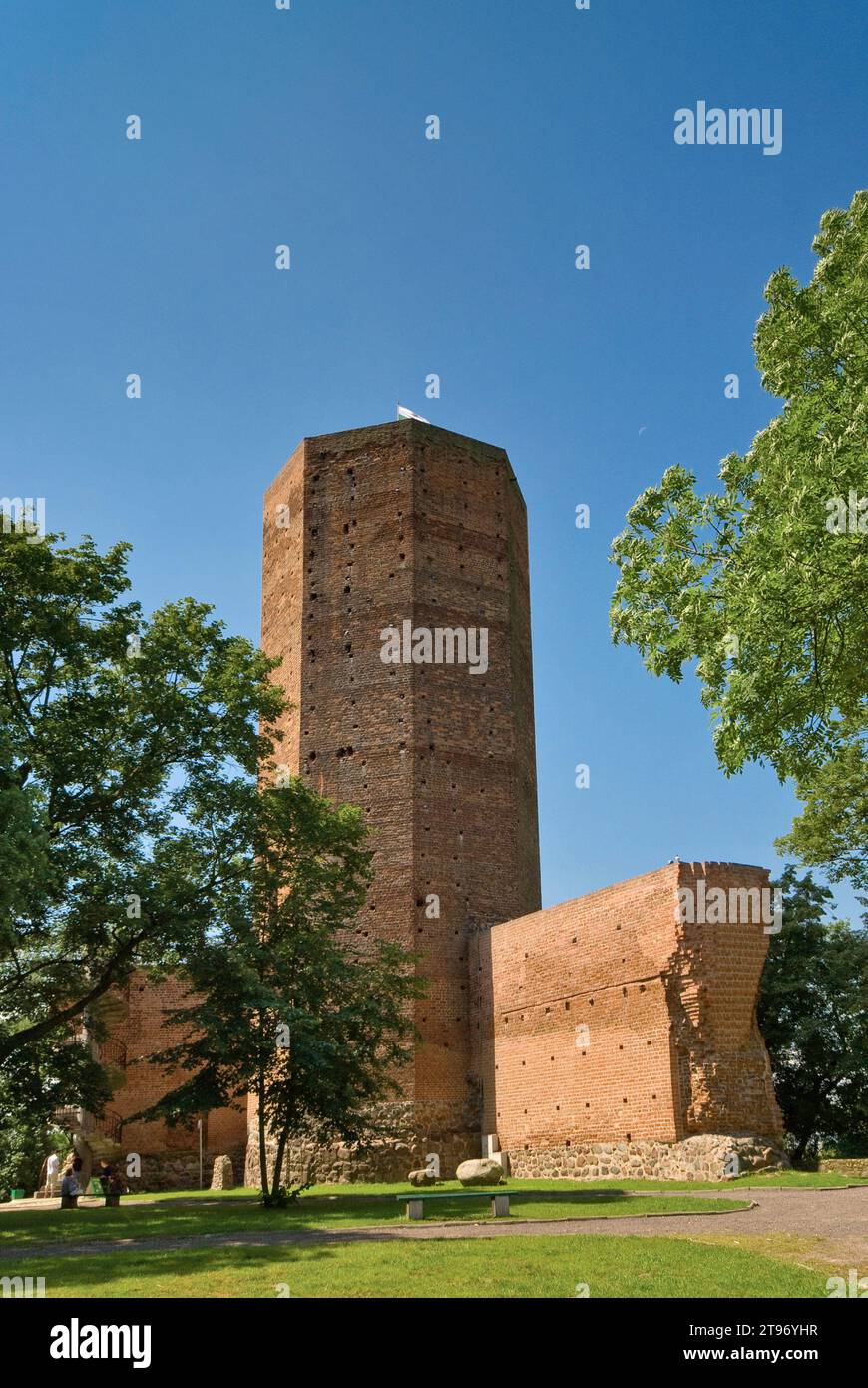 Torre del castello di Kruszwica, Kujawsko-Pomorskie, Polonia Foto Stock