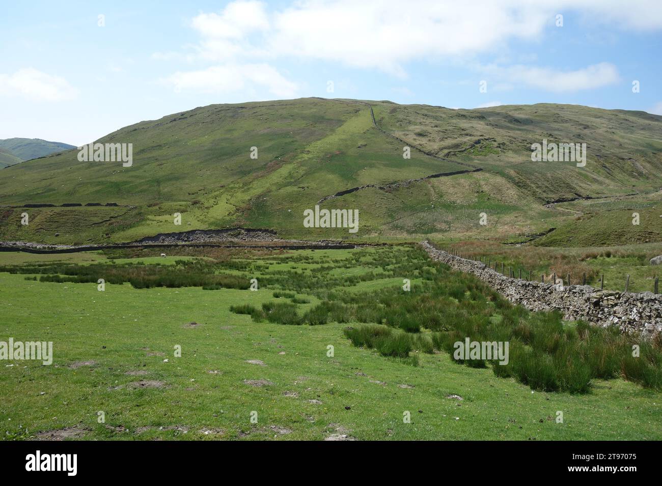 The Outlying Wainwright 'High House Bank' sopra Hause Foot nella Croockdale Valley, Lake District National Park, Cumbria, Inghilterra, Regno Unito Foto Stock