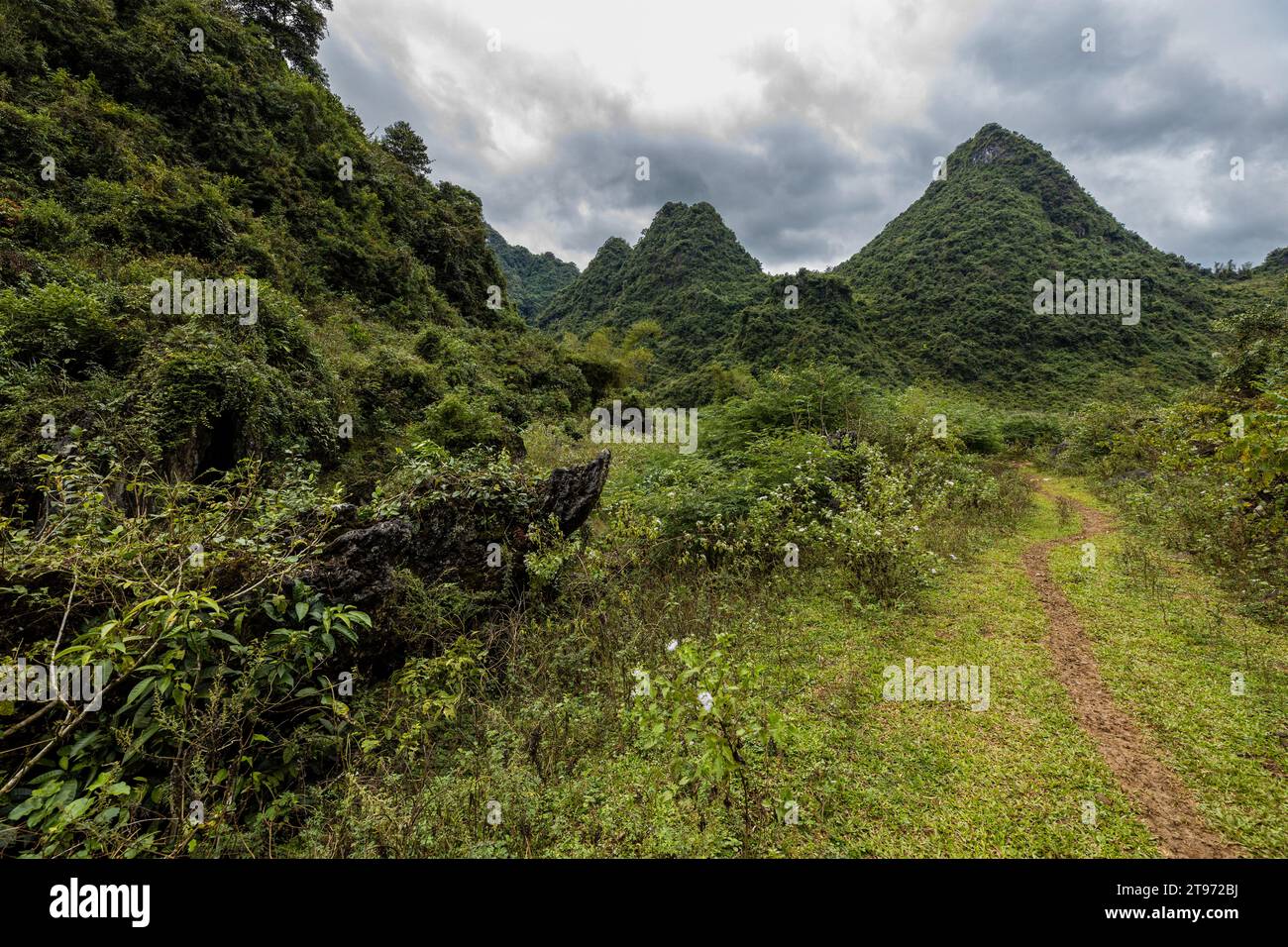 Il paesaggio a Ban Gioc nel Vietnam del Nord Foto Stock