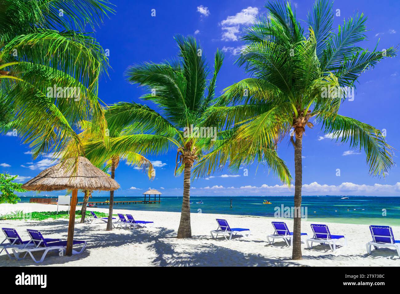 Cancun, Messico. Paesaggio tropicale con palme da cocco sulla spiaggia del Mar dei Caraibi, nella penisola dello Yucatan. Foto Stock