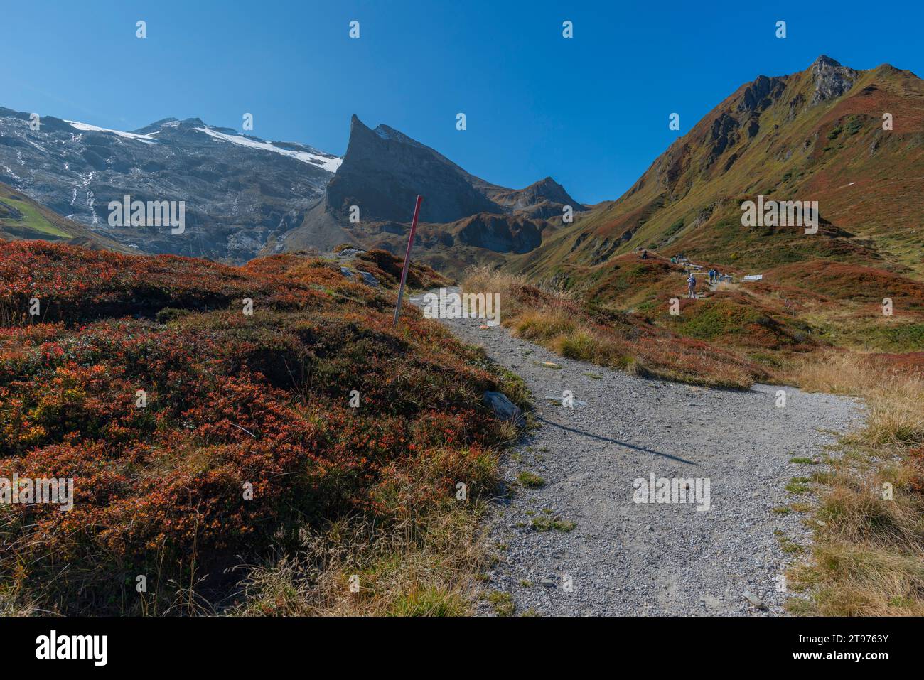 Hintertux Glacier Express, interfermata a Sommerbergalm (2.200 m) , popolare area escursionistica, Alpi Zillertal, Tirolo, Austria, Europa Foto Stock