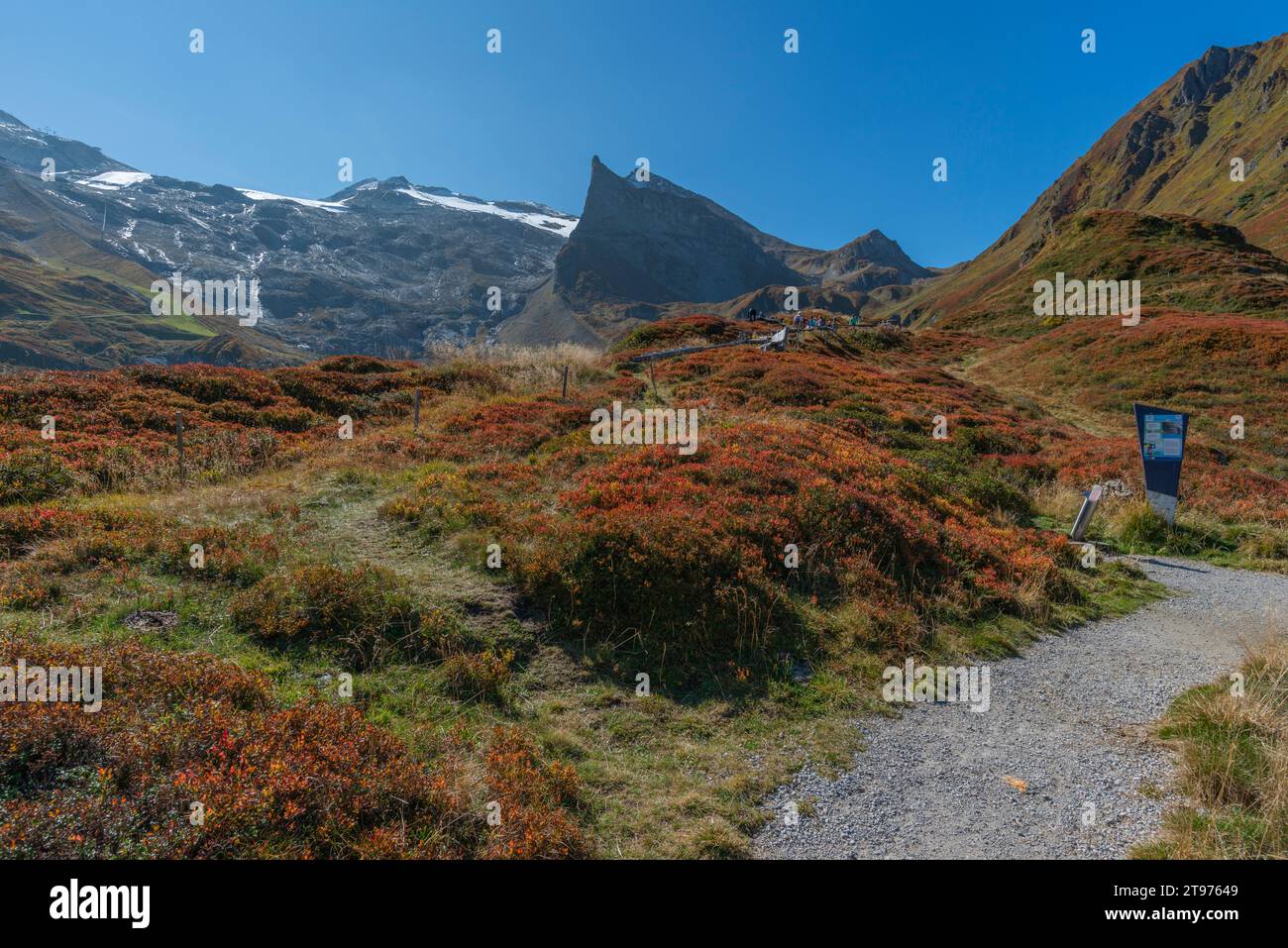 Hintertux Glacier Express, interfermata a Sommerbergalm (2.200 m) , popolare area escursionistica, Alpi Zillertal, Tirolo, Austria, Europa Foto Stock