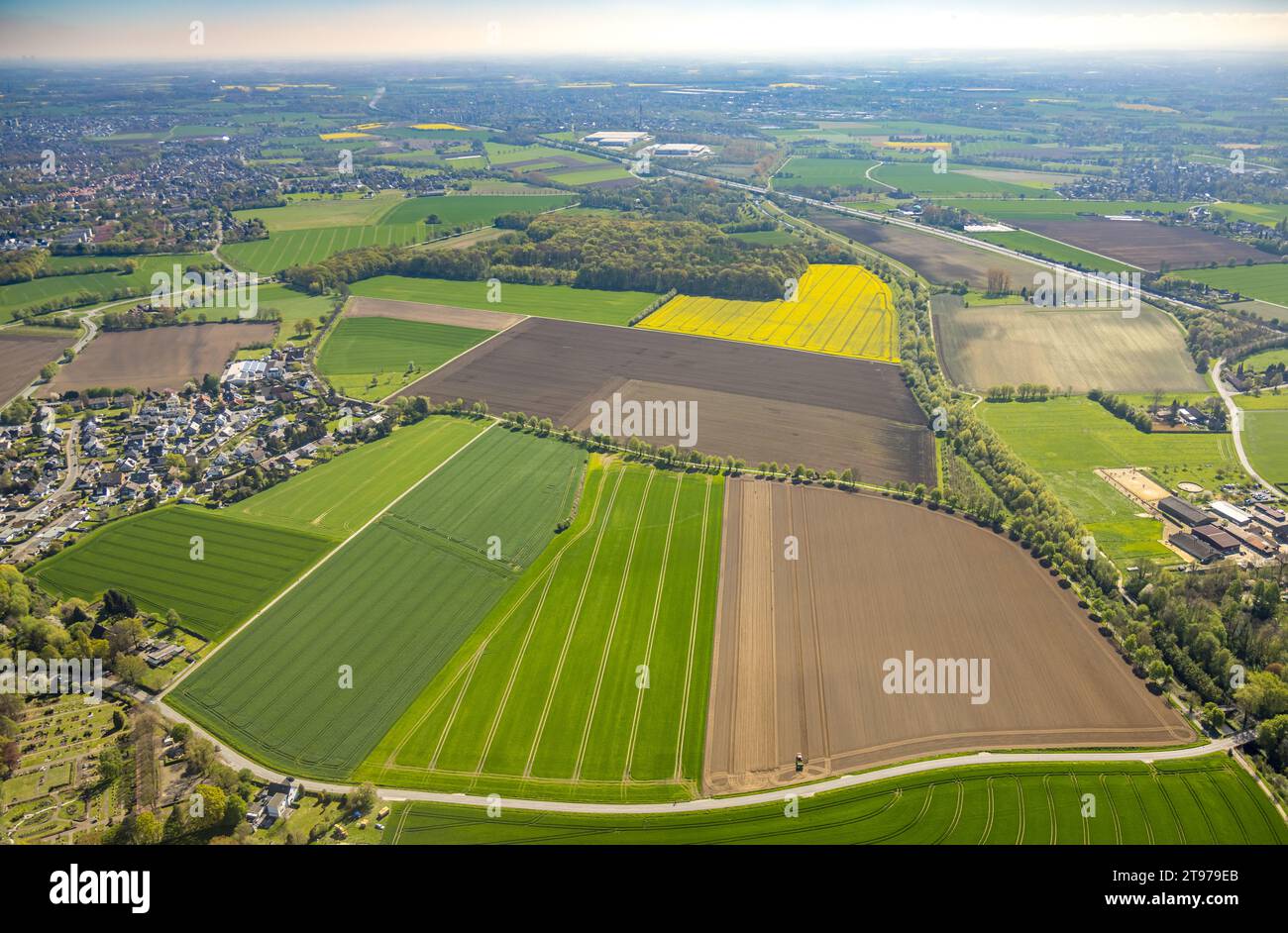 Vista aerea, prati e campi open space, Mühlenstraße, Niederaden, Lünen, zona della Ruhr, Renania settentrionale-Vestfalia, Germania, Germania, Europa, foto aerea, Aer Foto Stock