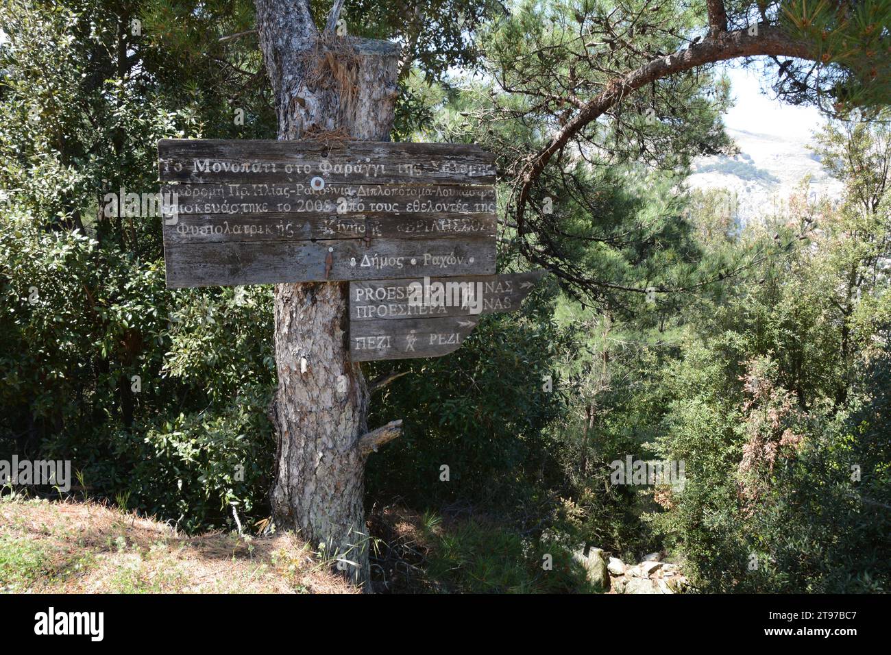 Un cartello all'inizio di un sentiero escursionistico nella foresta sull'isola greca di Ikaria, una "zona blu" nel Mar Egeo, vicino a Profitis Ilias, Grecia. Foto Stock