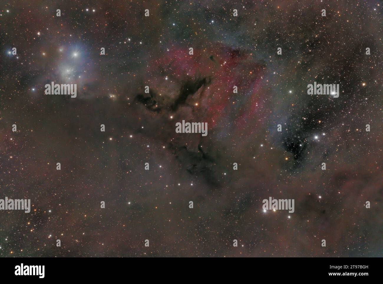 Omicron Persei, IC348 e la nube molecolare di Perseus Foto Stock