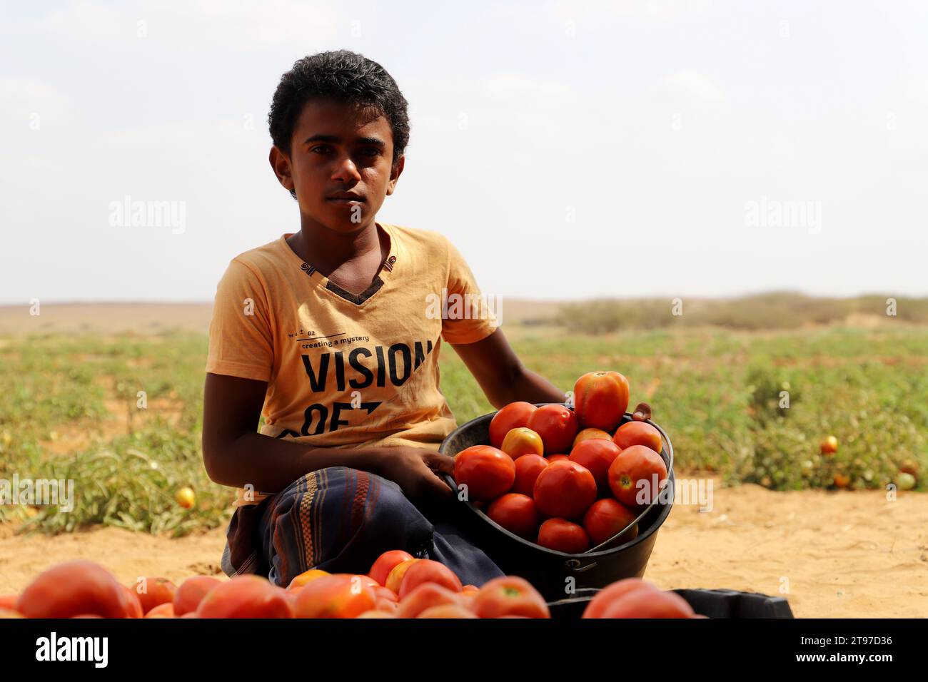 HAJJAH , YEMEN – 28 febbraio 2021: La guerra e l'assedio impediscono a centinaia di fattorie di produrre in mezzo all'accumulo e ai danni delle colture nel nord-ovest di Yeme Foto Stock