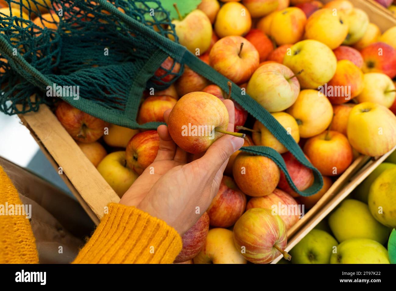 Mano di donna che raccoglie mele al mercato agricolo Foto Stock