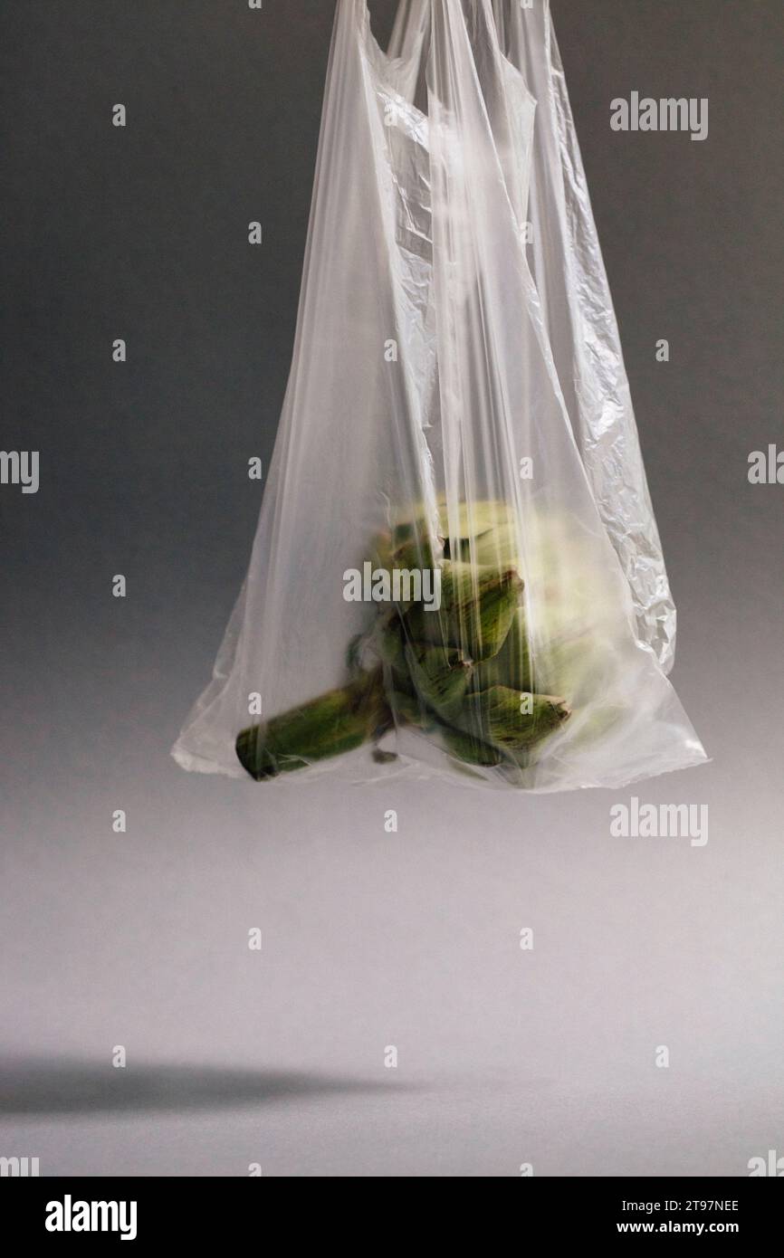 Carciofo singolo in sacchetto di plastica Foto Stock