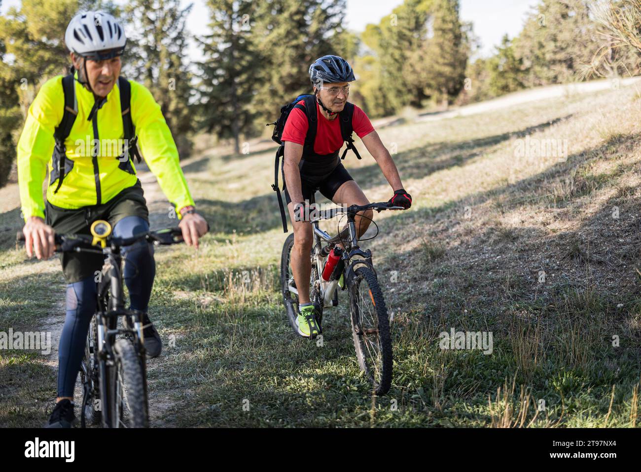 Amici maturi che indossano caschi e vanno in bicicletta nella foresta nelle giornate di sole Foto Stock