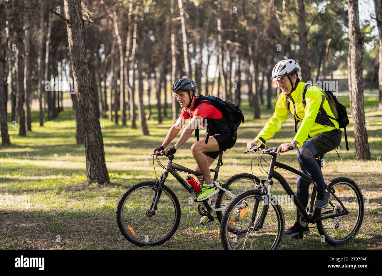 Uomini maturi che indossano caschi e vanno in bicicletta nella foresta nelle giornate di sole Foto Stock