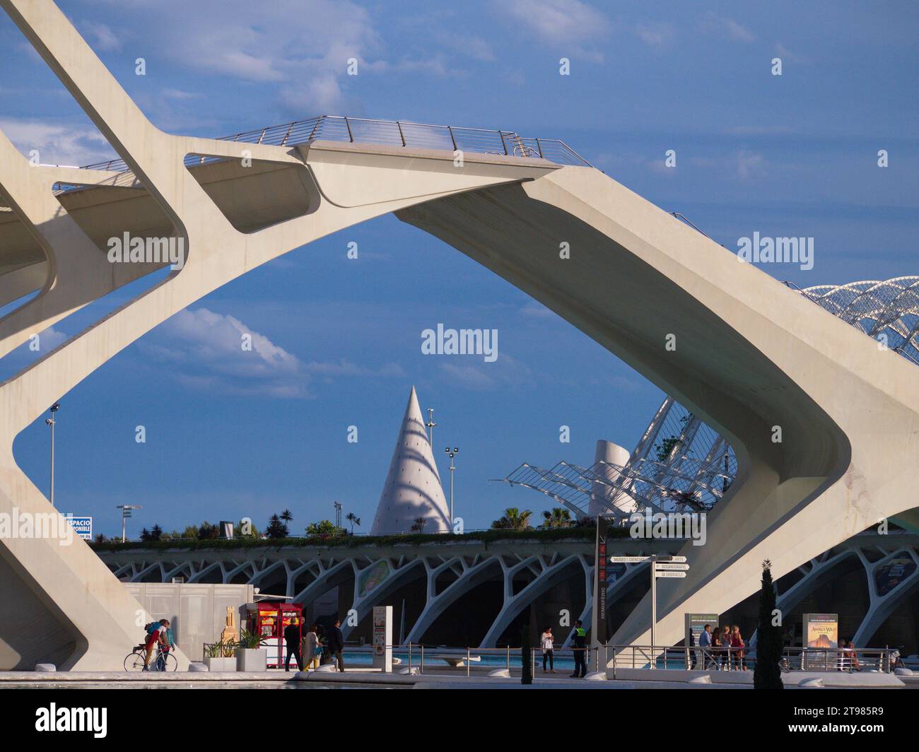 Edifici nella città delle Arti e delle Scienze di Valencia. Edifici en la Ciudad de las Artes y de las Ciencias de Valencia Foto Stock