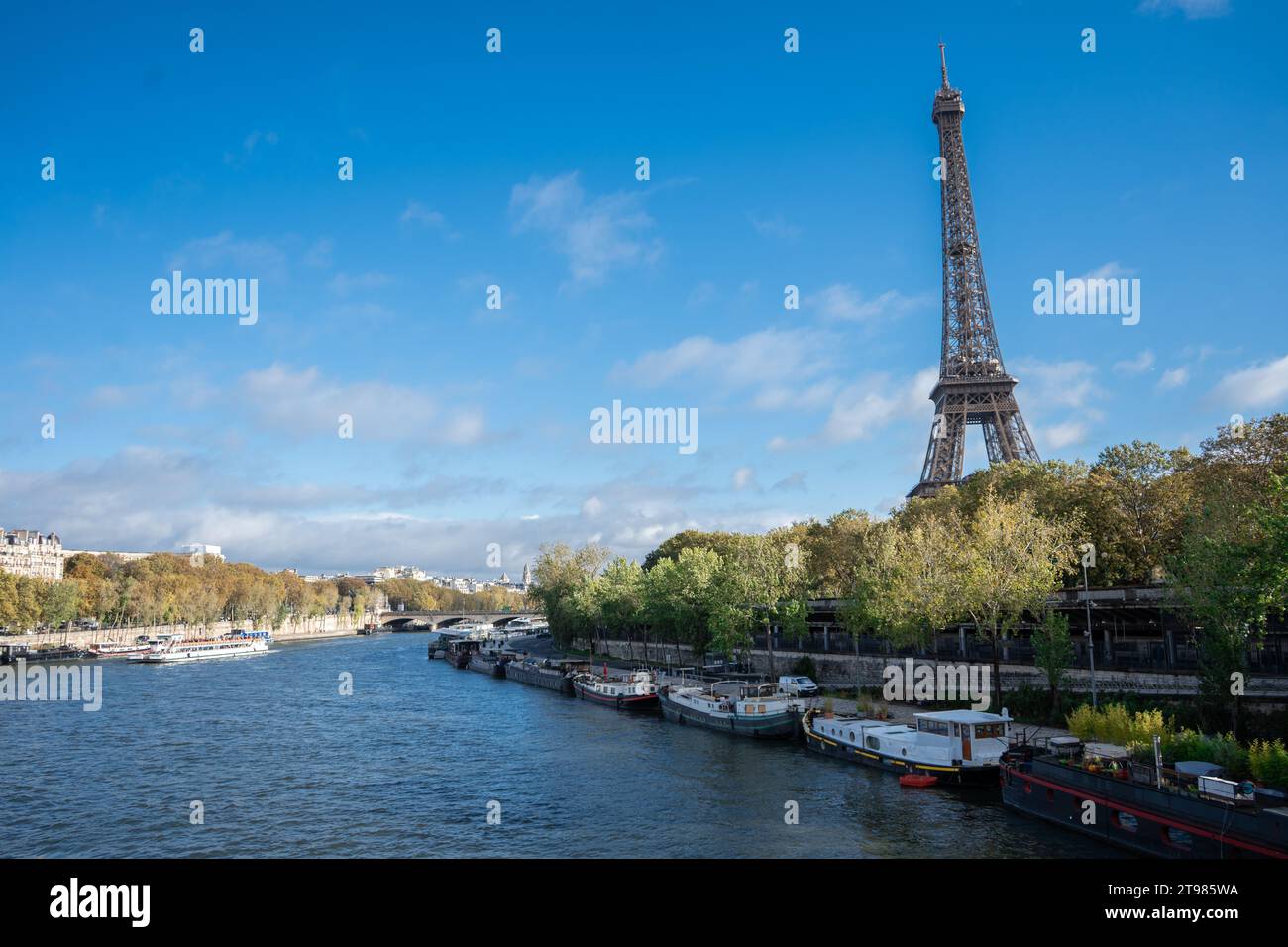Torre Eiffel dal Ponte Bir-Hakeim Foto Stock