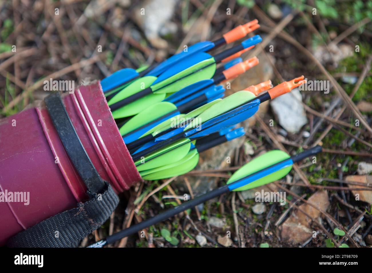 Porpora di fibra piena di frecce sul terreno forestale. Messa a fuoco selettiva Foto Stock