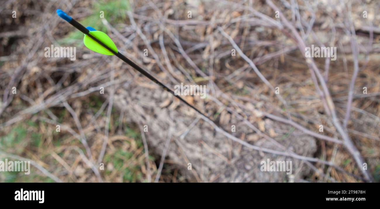 Freccia sportiva bloccata in un registro. Concentratevi sui fletchings parabolici Foto Stock