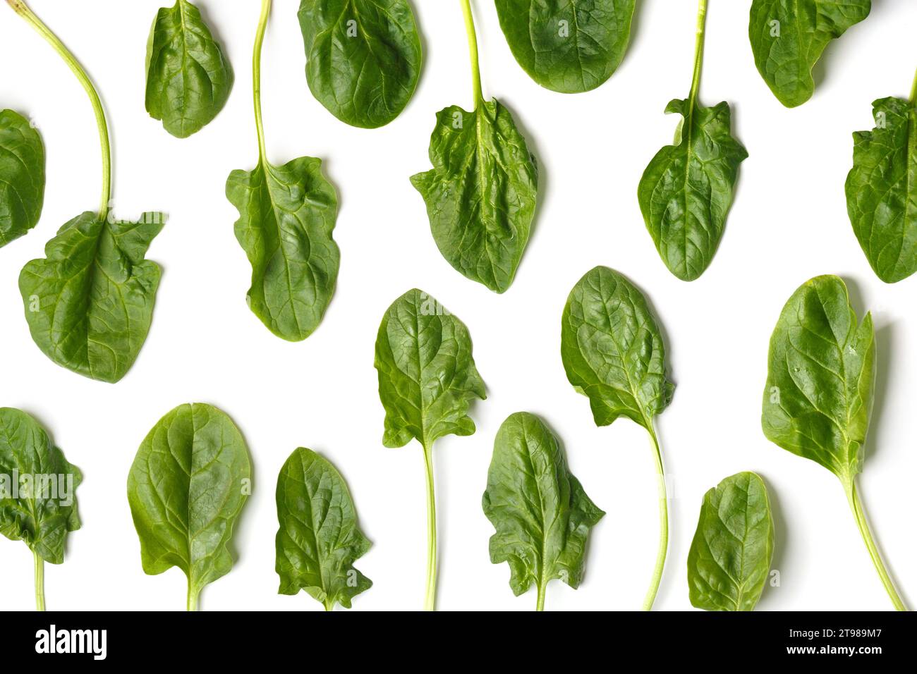 Foglie di spinaci fresche isolate su sfondo bianco, piatto, vista dall'alto. Sfondo di foglie verdi di spinaci. Il concetto di corretta alimentazione Foto Stock