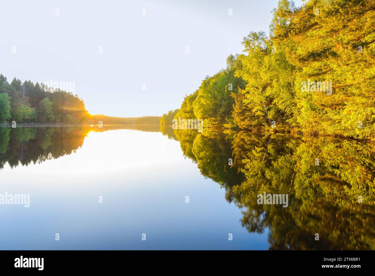 Scena tranquilla di un lago ancora vivo che riflette alberi gialli sotto la luce del sole estivo. Foto Stock
