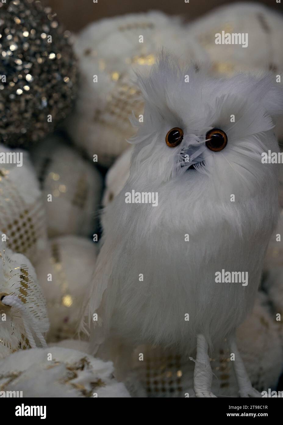 Un piccolo gufo bianco soffice con grandi occhi rotondi seduto in una scatola con le palle di Natale. Decorazioni natalizie. Foto Stock