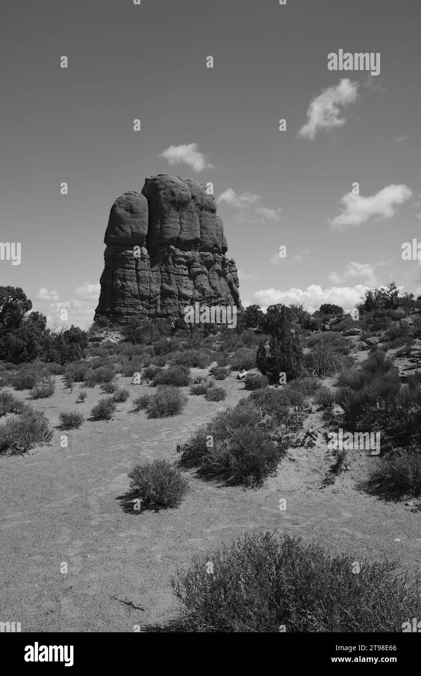 Parco nazionale degli Arches, Moab (Utah) Foto Stock