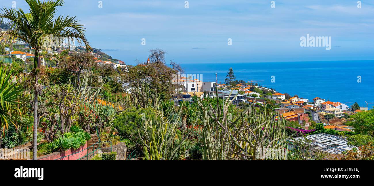 Paesaggio di vegetazione tropicale con vista dal giardino botanico dell'isola di Madeira. Foto Stock