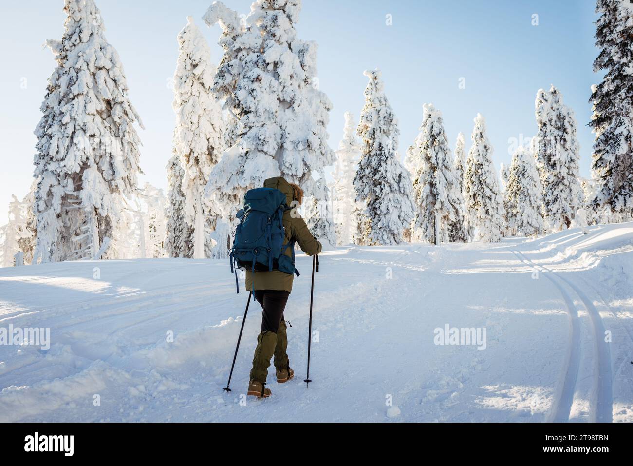 Donna con zaino e bastoncini da passeggio sta facendo escursioni nei sentieri di montagna invernali. Passeggia nella neve nella natura Foto Stock