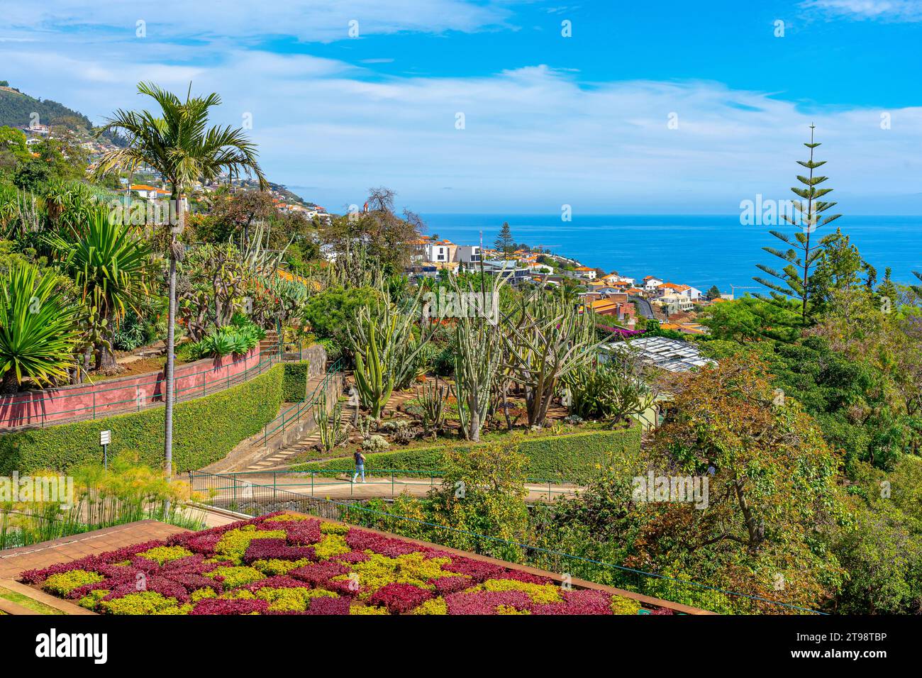 Paesaggio di vegetazione tropicale con vista dal giardino botanico dell'isola di Madeira. Foto Stock