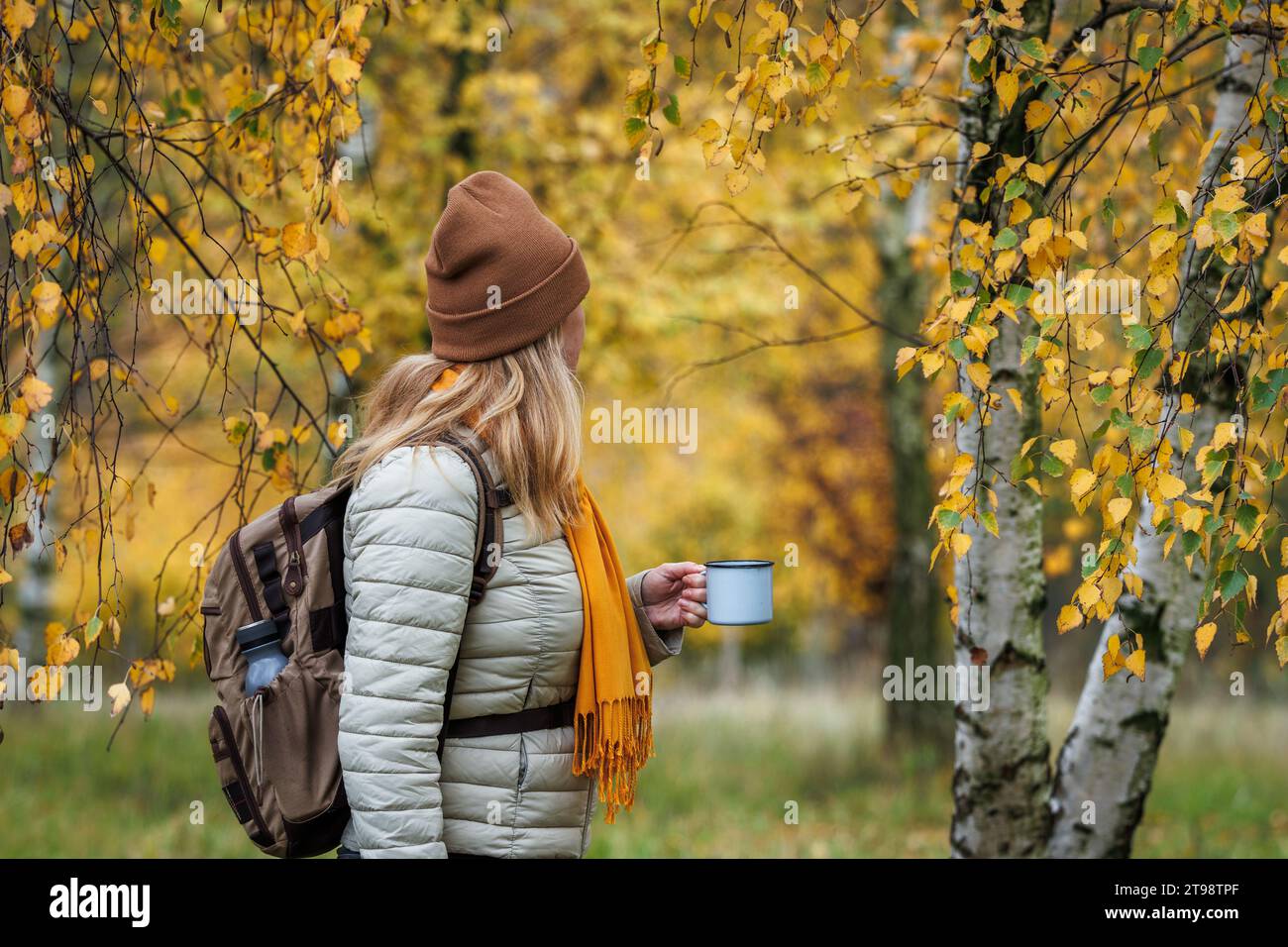Donna con bevanda calda riposa durante le escursioni nella foresta autunnale. Turista con zaino che ammira la natura in autunno Foto Stock