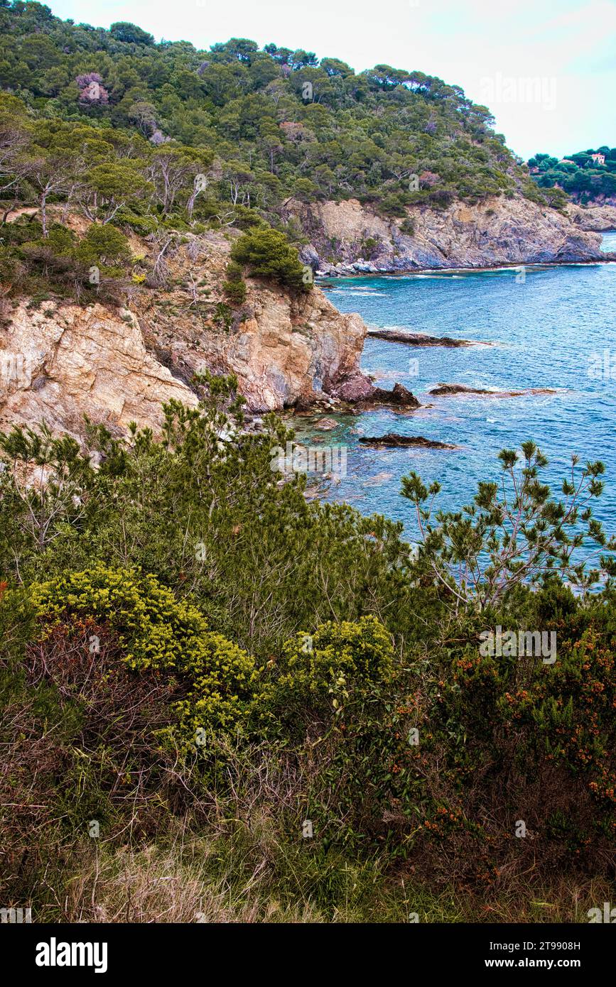 le bord de mer dans la partie ouest de la presquile de Giens appartenant au parc National de Port-cros avec ses criques ses ilots ses plages sa nature Foto Stock