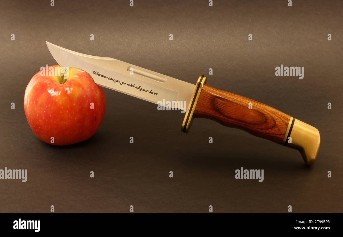 Coltello da caccia con manico in legno e ottone. Foto Stock