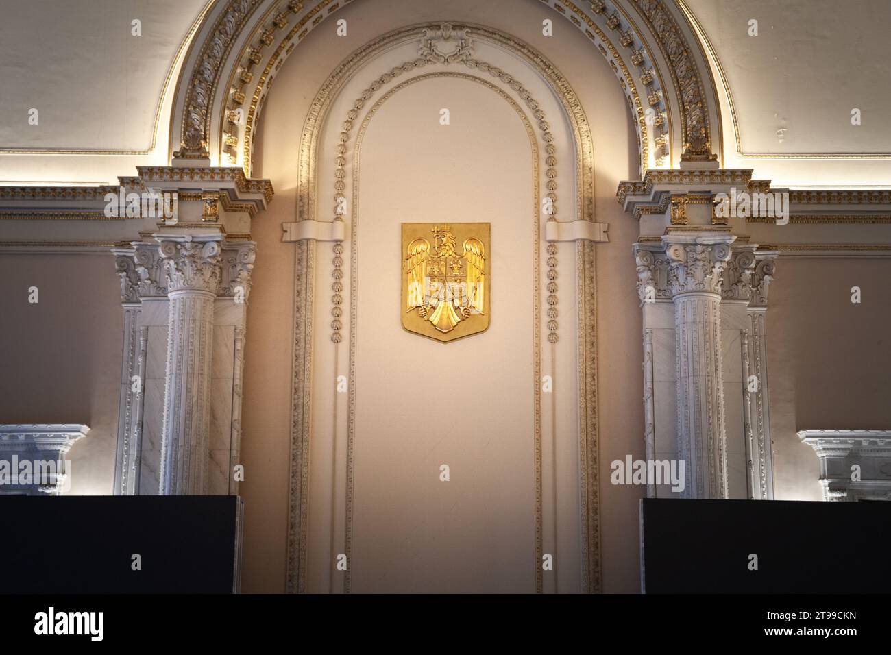 Immagine dello stemma rumeno. Lo stemma della Romania è stato adottato dal Parlamento rumeno il 10 settembre 1992 come stemma rappresentativo Foto Stock