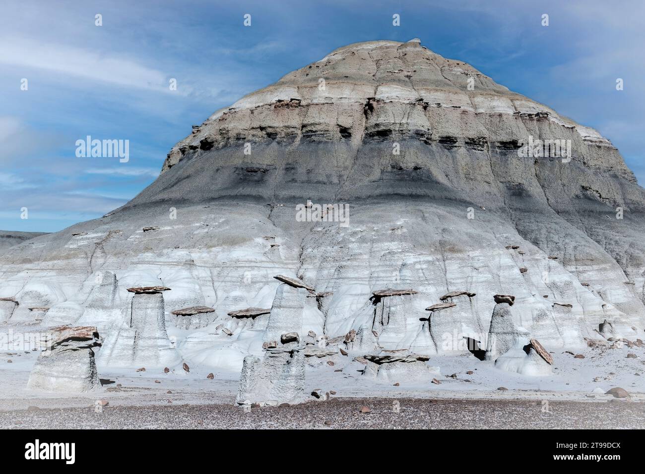 Formazioni rocciose nelle Bisti Badlands Foto Stock