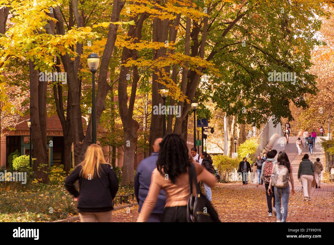 Locust a piedi con gli studenti in caduta, University of Pennsylvania, città universitaria area, Philadelphia, PA, Stati Uniti d'America Foto Stock