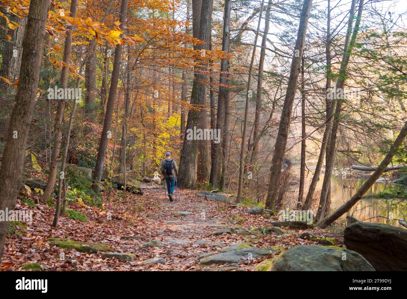 Man Hiking lungo Wissahickon Creek, Philadelphia, Pennsylvania, USA Foto Stock