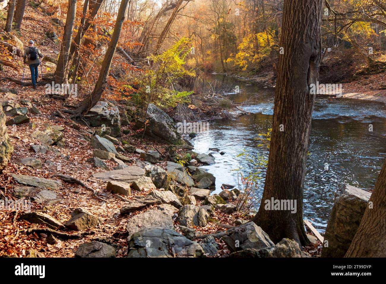 Man Hiking lungo Wissahickon Creek, Philadelphia, Pennsylvania, USA Foto Stock