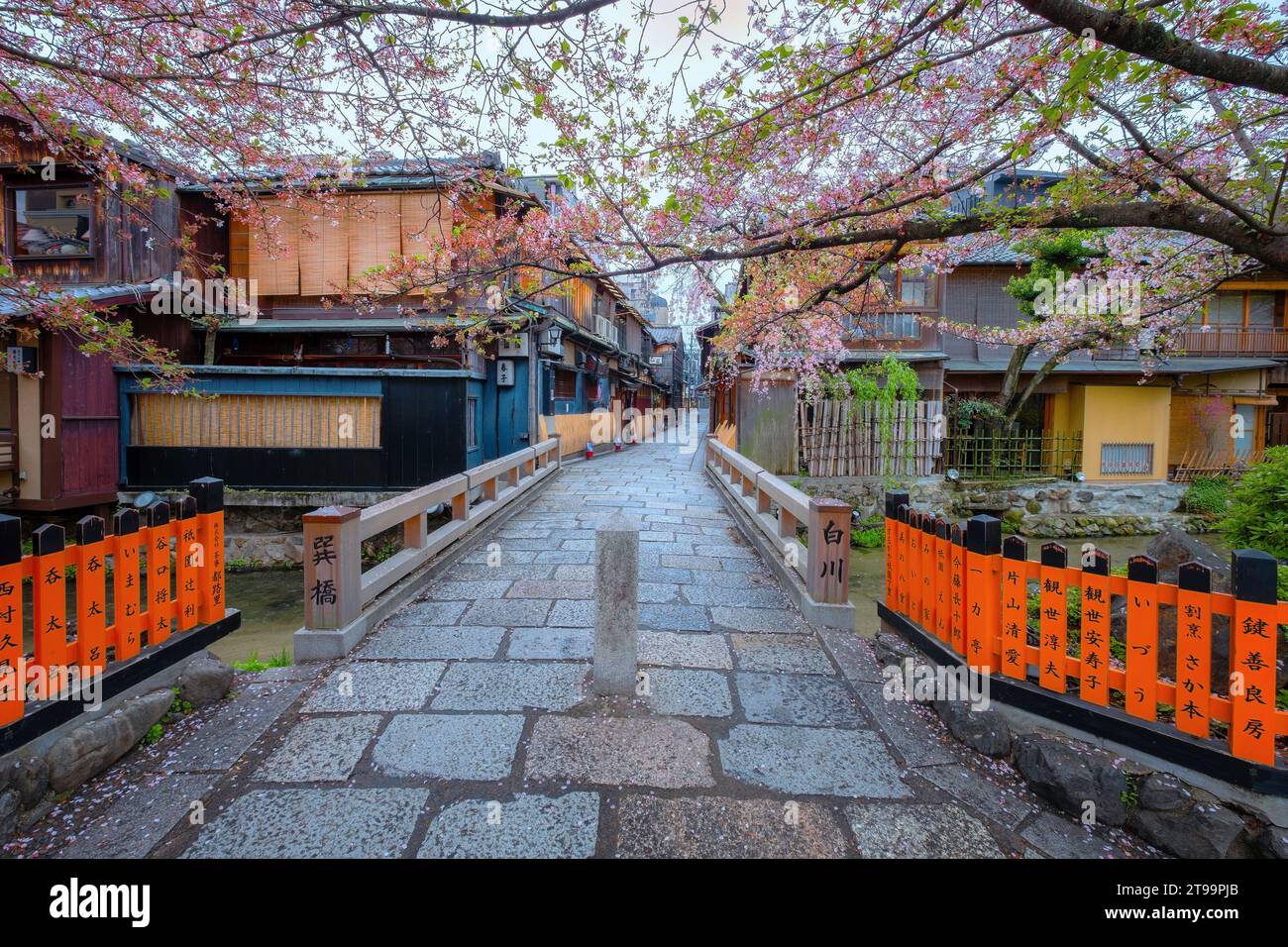 Kyoto, Giappone - 6 aprile 2023: Il ponte Tatsumi bashi è il luogo simbolo del distretto di Gion. E' un piccolo ponte che attraversa il torrente Shirakawa che scorre Foto Stock