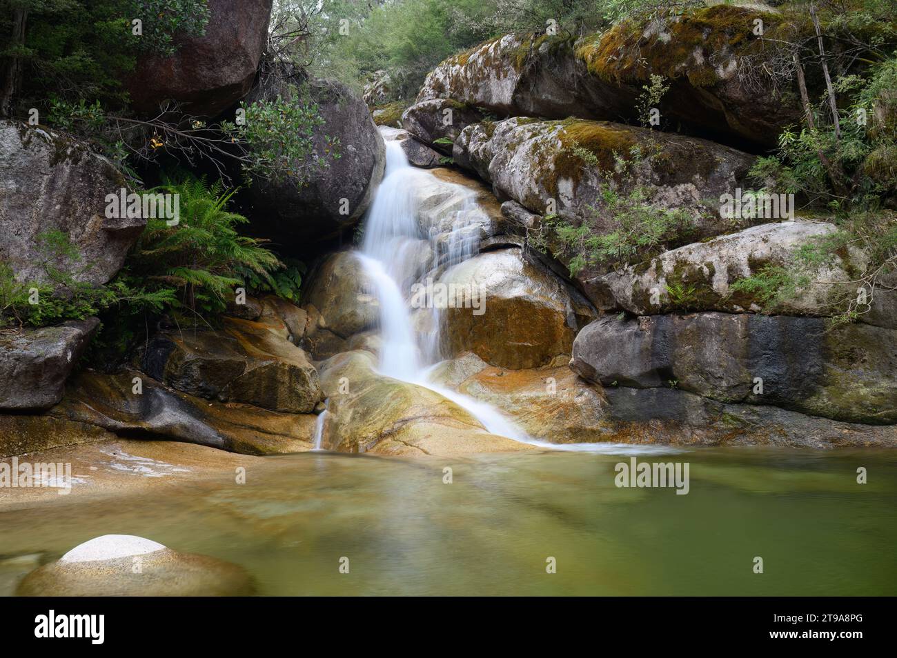Cascate Ladies Bath nel Mt Buffalo National Park, che si tuffano nella piscina rocciosa sottostante Foto Stock