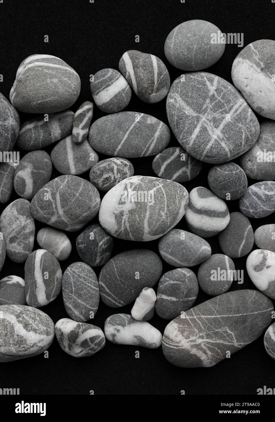 Varietà di ciottoli grigi con venature al quarzo bianco all'interno foto verticale per sfondi Foto Stock